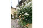 Erdgeschoßwohnung Pforzheim Eutingen - 3 Zimmer, 72 m&sup2;, 255.000&euro; | Angebot:26834066