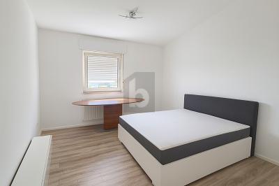 TOP SANIERT, TOP WG - Erdgeschoßwohnung Mannheim Sandhofen | Angebot:25880989
