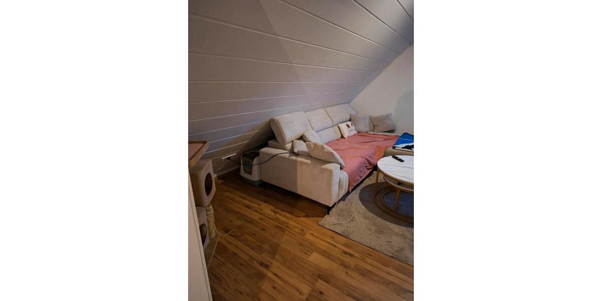 Dachgeschoßwohnung Leimen - 2 Zimmer, 40 m&sup2;, 800&euro; | Angebot:25239765