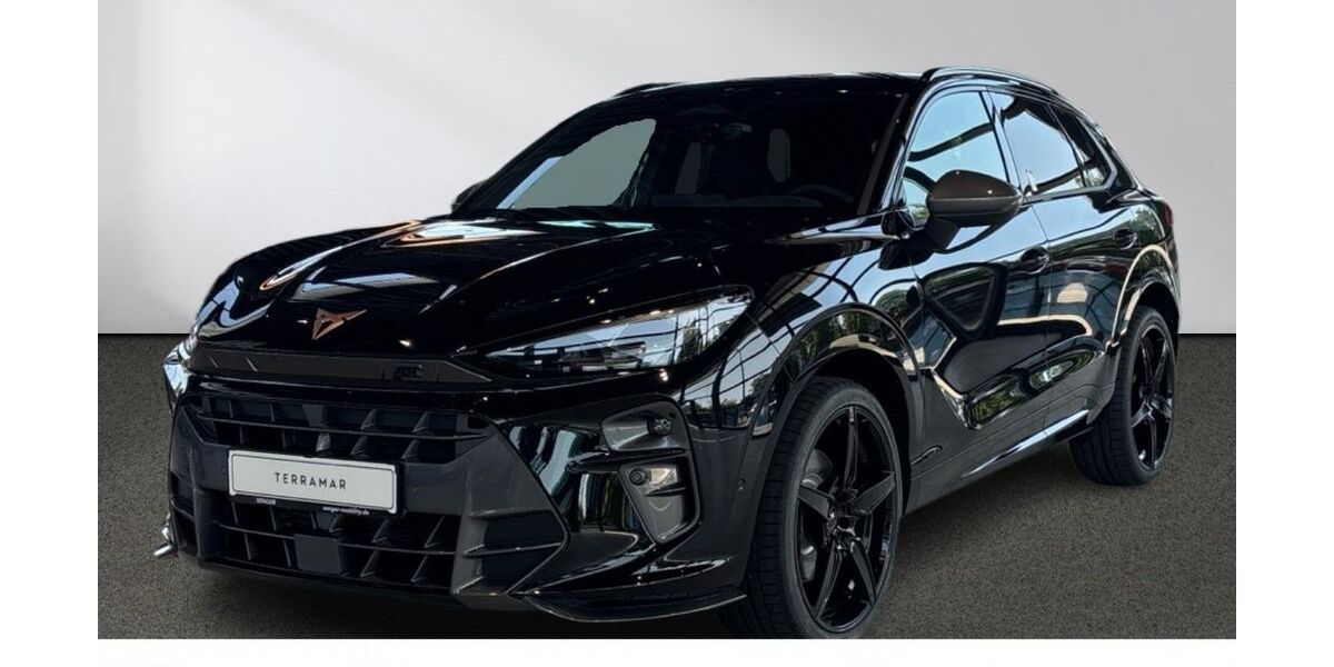Cupra Terramar 1.500 km 49.990 &euro; Rheine 48429