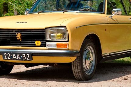 Peugeot 304 132.000 km 9.940 &euro; Oost- West- en Middelbeers 5091W