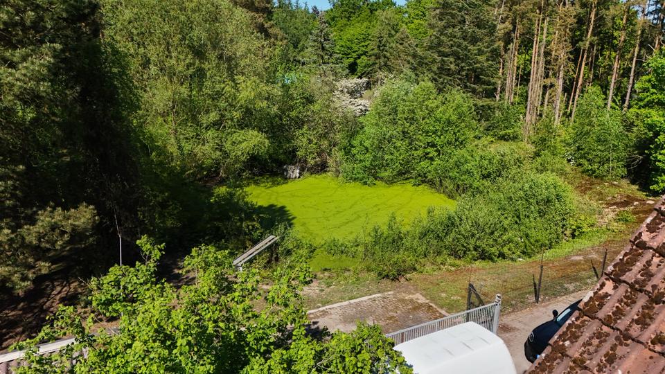 Anwesen 16000qm 2 Häuser Werkstatt Teich Wiesen Wald Burgwedel zimmer