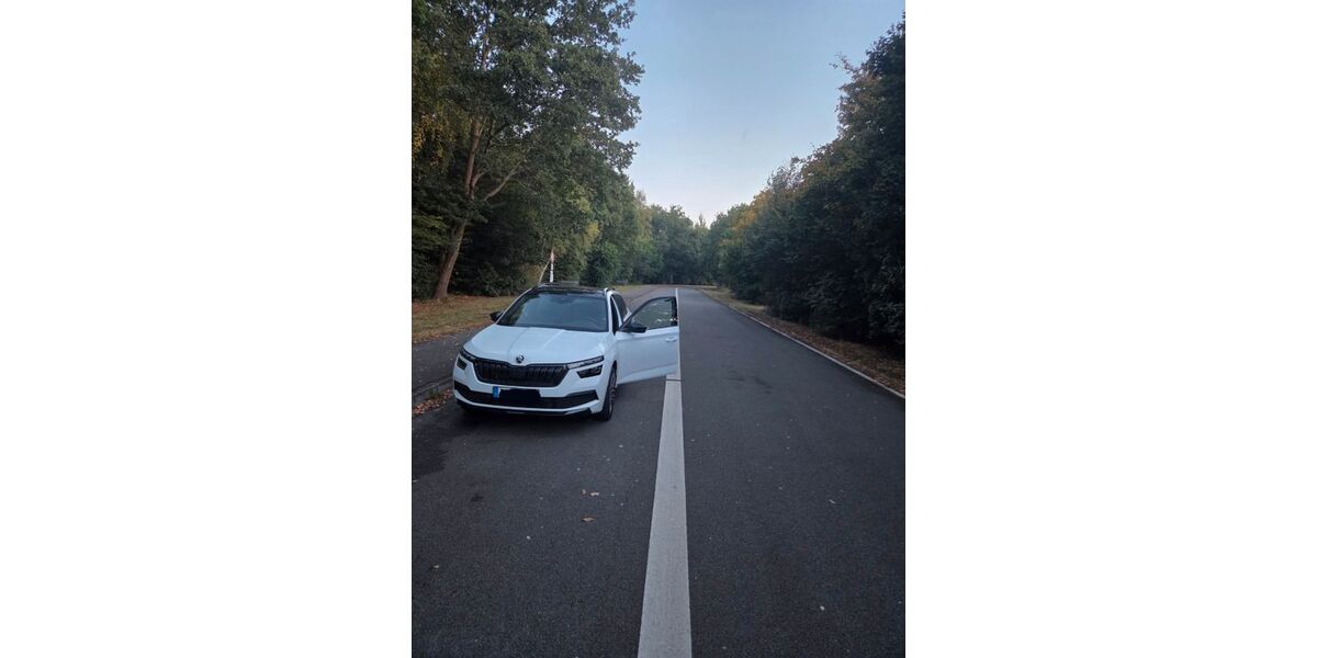 Skoda Kamiq 68.000 km 22.500 &euro; Schnakenbek 21481