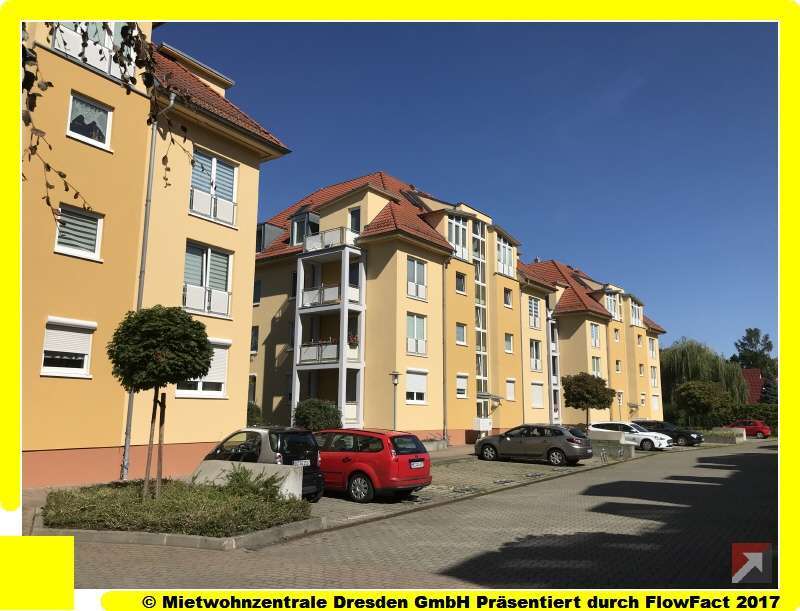 Wohnung zum Mieten in Dresden 310 € 36 m²