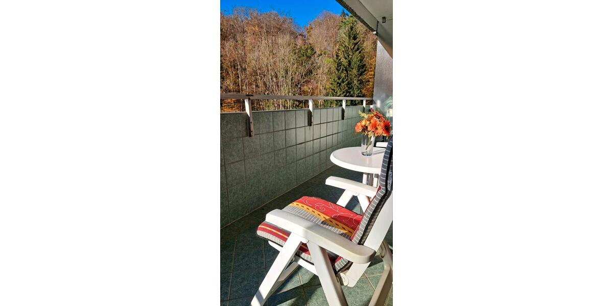 Etagenwohnung Bad Harzburg - 2 Zimmer, 52 m&sup2;, 62.900&euro; | Angebot:26439481