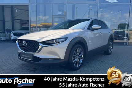Mazda CX-30 21.084 km 30.990 € Karben 61184