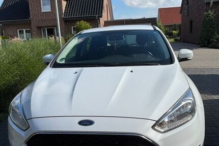 Ford Focus 98.600 km 10.000 &euro; Schapen 48480