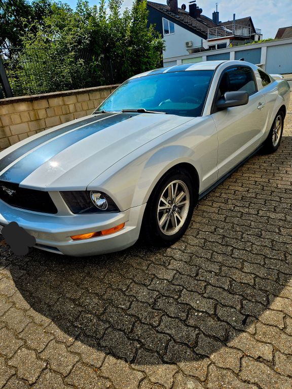 Mustang