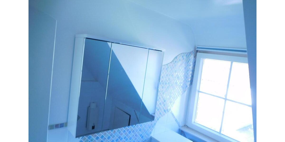 Dachgeschoßwohnung Waldenburg - 2 Zimmer, 45 m&sup2;, 480&euro; | Angebot:25346848