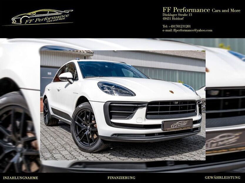 Macan