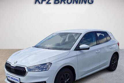 Skoda Fabia 11.400 km 16.980 &euro; Lingen (Ems) 49811