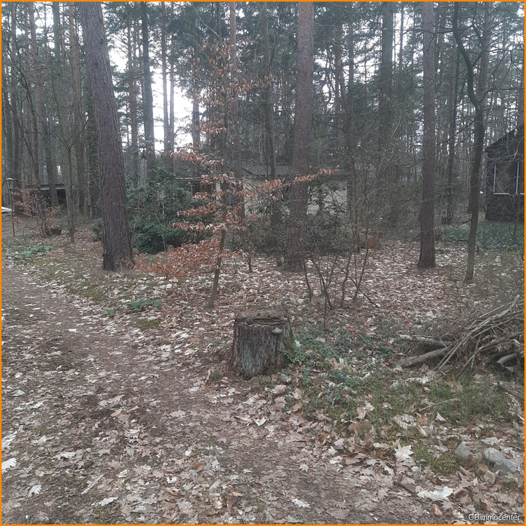 Alle Hausarten auf KLASSE Bauland möglich