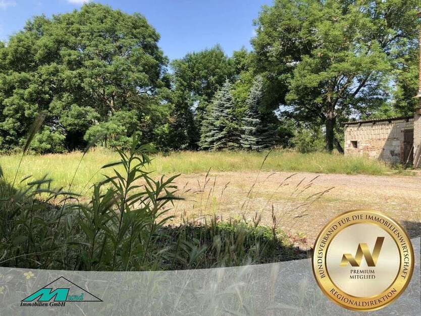 Grundstück zu verkaufen in Bad Dürrenberg 100.000 € 1486 m²