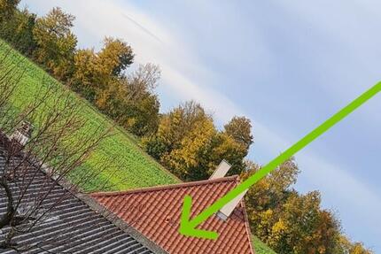 Haus und Lagerhalle auf 1725 m² 5 zimmer