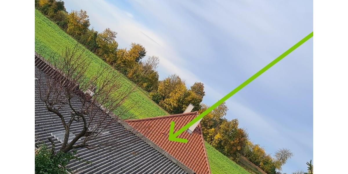 Haus und Lagerhalle auf 1725 m² 5 zimmer