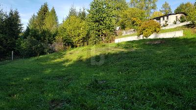 HIER IHREN TRAUM VERWIRKLICHEN - EFH ODER DH - Grundstück Suhl Schmiedefeld am Rennsteig | Angebot:26230261