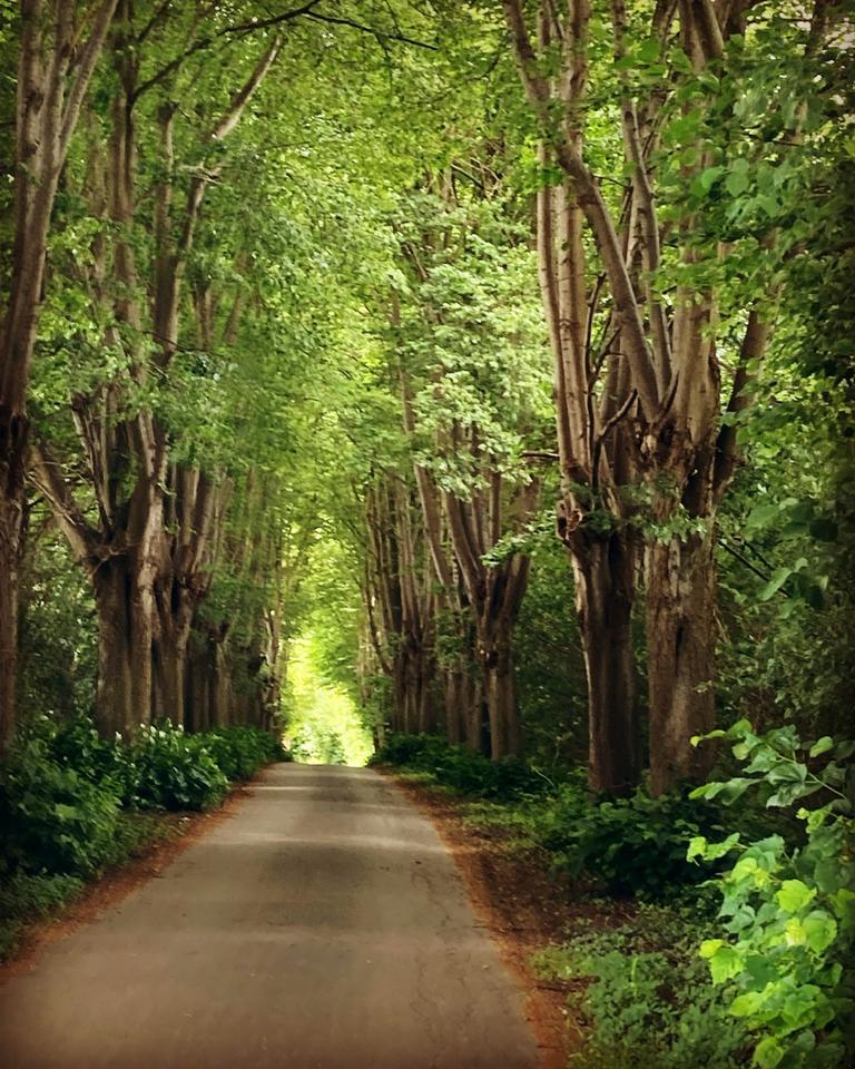 Stilvolles Einfamilienhaus zimmer