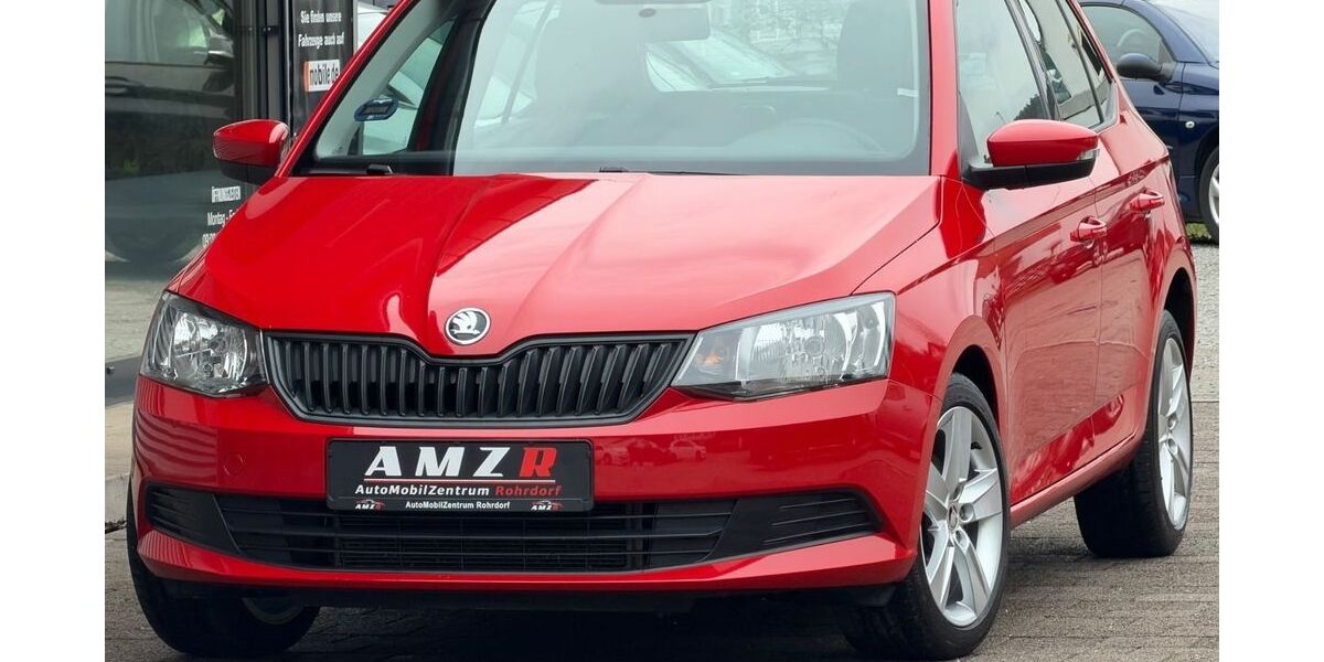 Skoda Fabia 175.000 km 5.990 &euro; Rohrdorf 72229
