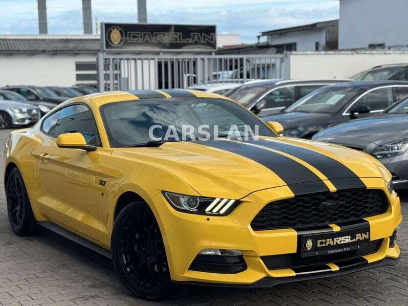 Mustang