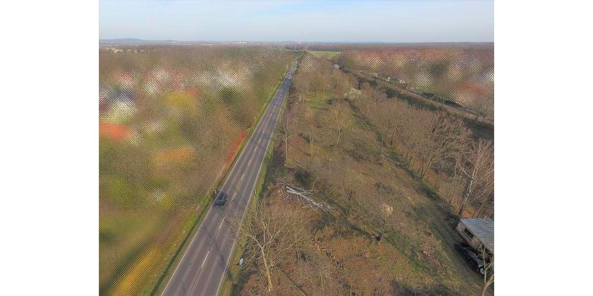 Grundstück Machern - 185.000&euro; | Angebot:24036204