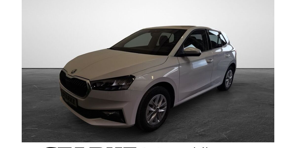 Skoda Fabia 25.000 km 17.840 &euro; Georgsmarienhütte 49124