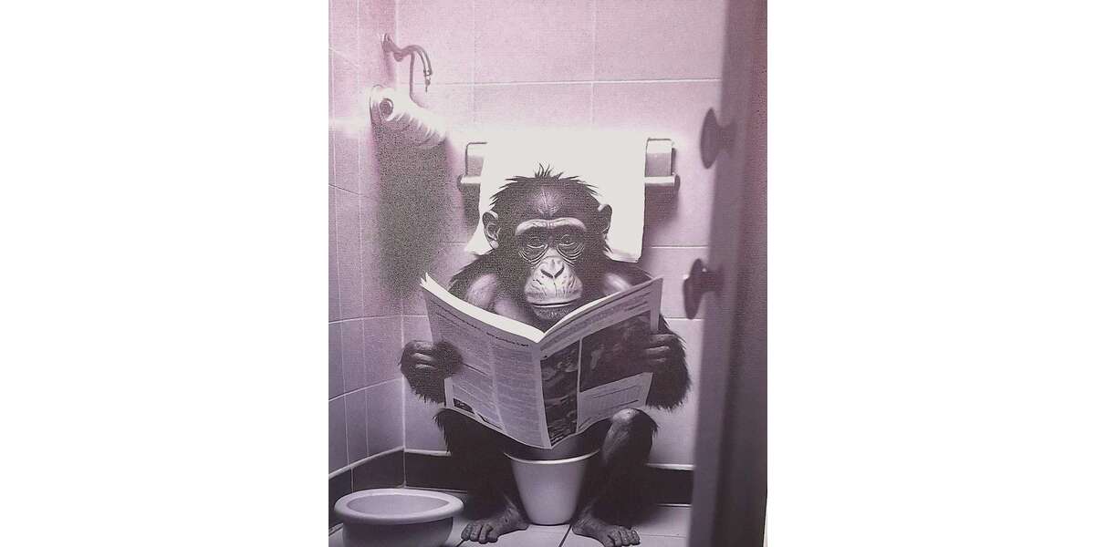 Zimmer lemgo - 349&euro; | Angebot:26100383