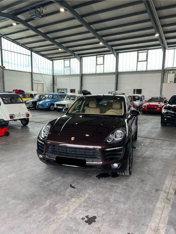 Macan