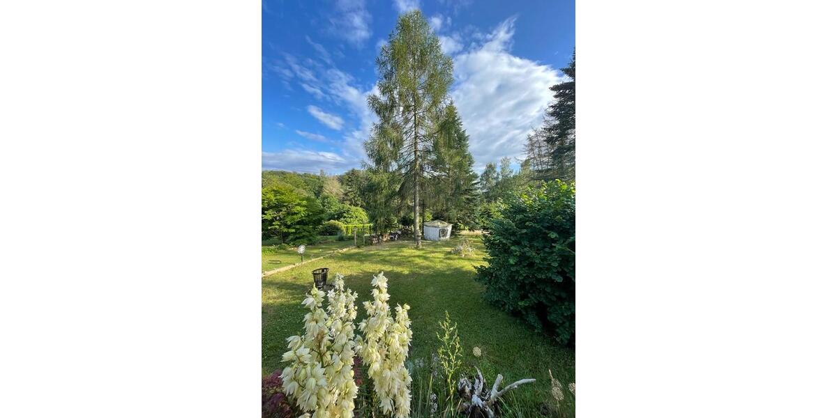 Bungalow Harztor - 2.5 Zimmer, 60 m&sup2;, 63.500&euro; | Angebot:26763662