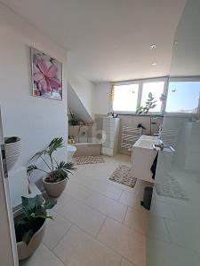 CHARMANTES EIGENHEIM WARTET AUF SIE - Reihenendhaus Breitingen | Angebot:25213978