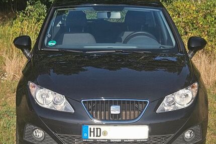 Seat Ibiza 169.340 km 2.555 &euro; Hockenheim 68766