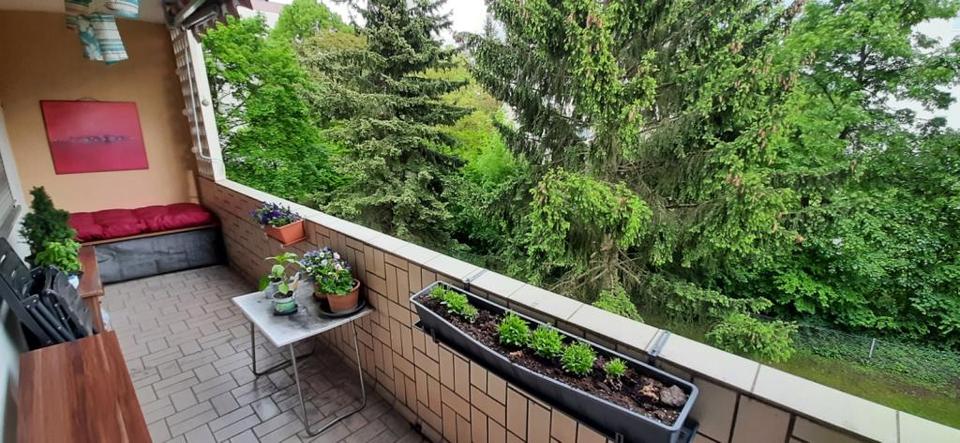 Studenten-WG: 4-Zimmer-Wohnung mit Blick ins Grüne nähe Gewerbepark 4 zimmer