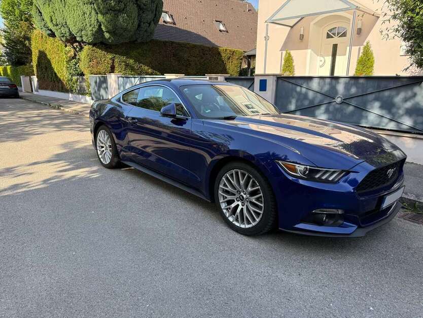 Mustang