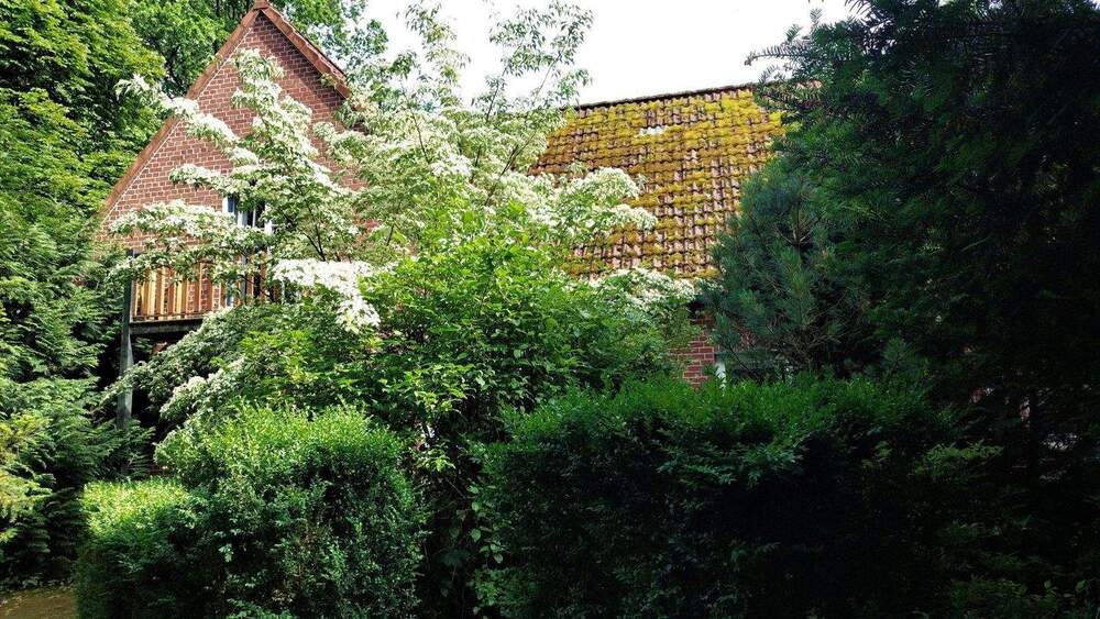 Etagenwohnung Schneverdingen Wintermoor an der Chaussee - 2 Zimmer, 82 m&sup2;, 820&euro; | Angebot:24835487