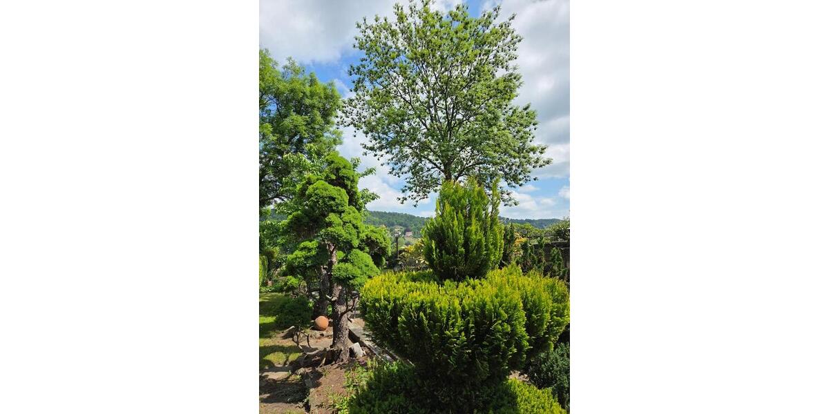 Ferienimmobilie Dresden Blasewitz - 75&euro; | Angebot:25893675