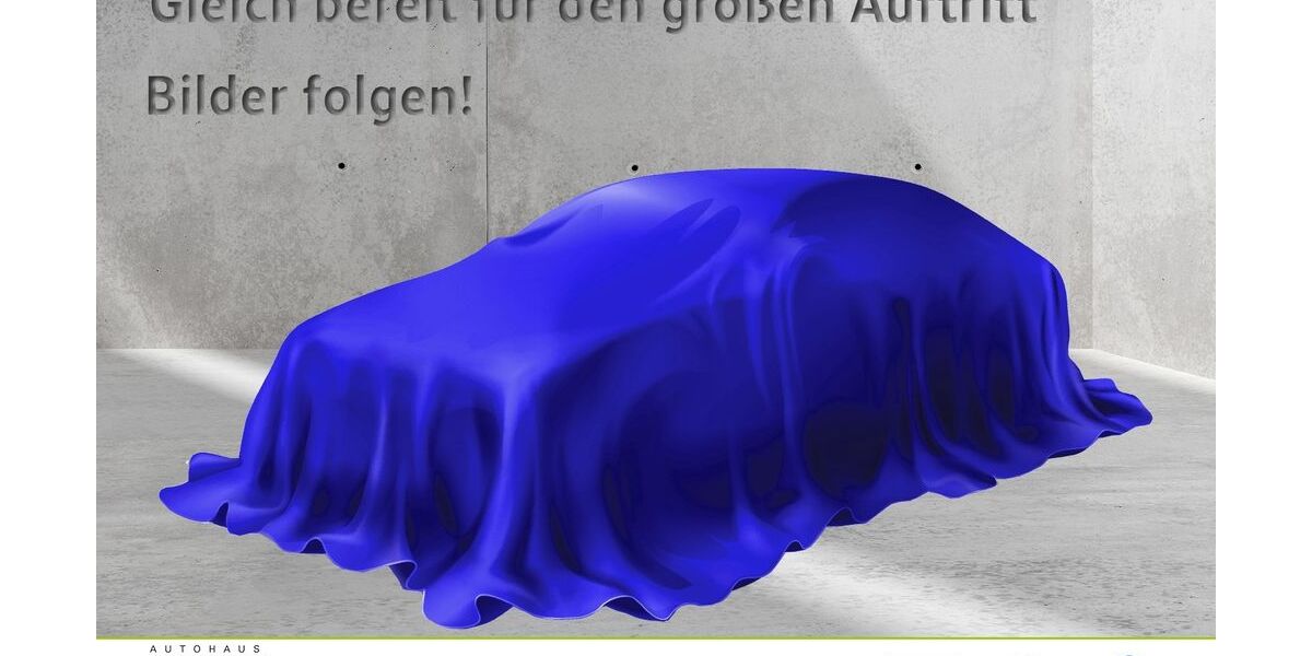 VW T-Roc 38.655 km 24.440 &euro; Müllheim 79379