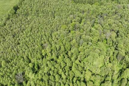 Grundstück Lübben (Spreewald) - 29.999&euro; | Angebot:16725268