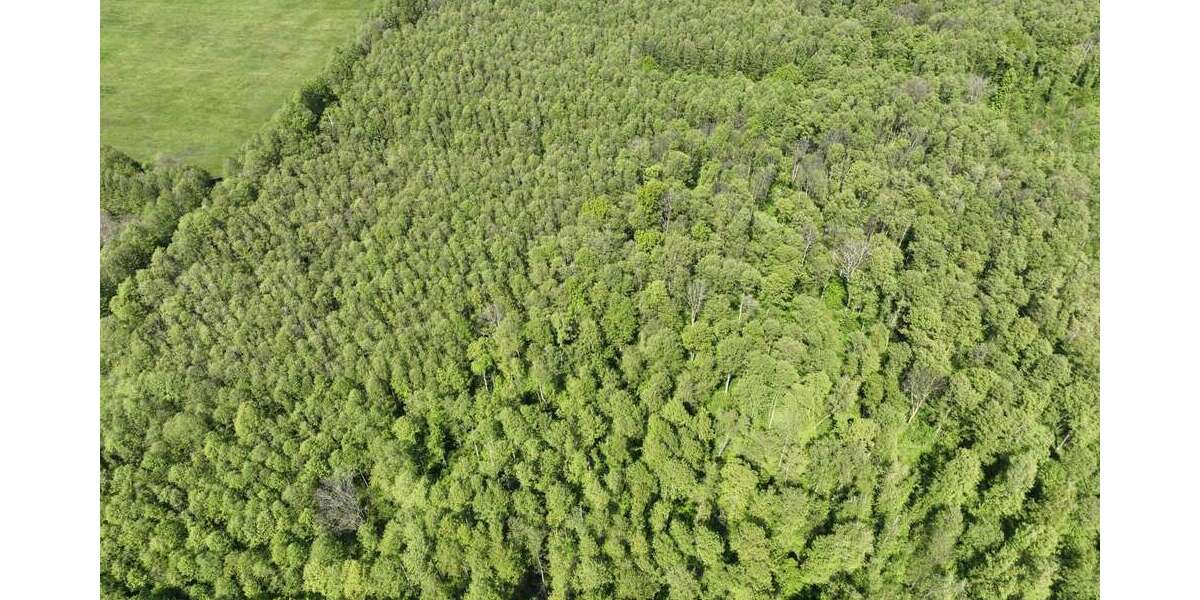 Grundstück Lübben (Spreewald) - 29.999&euro; | Angebot:16725268