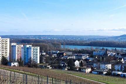 Wohnung Geisenheim - 1 Zimmer, 45 m&sup2;, 175.000&euro; | Angebot:25541399