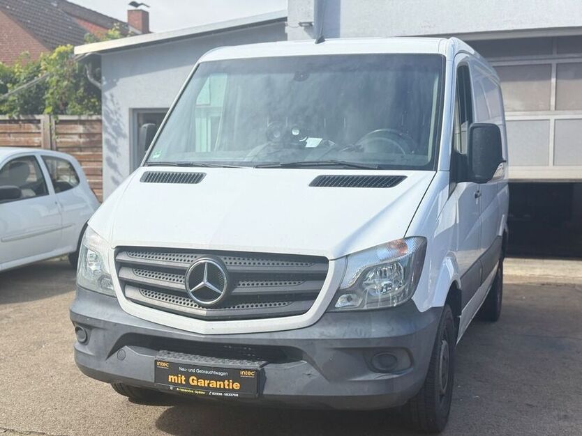 Sprinter