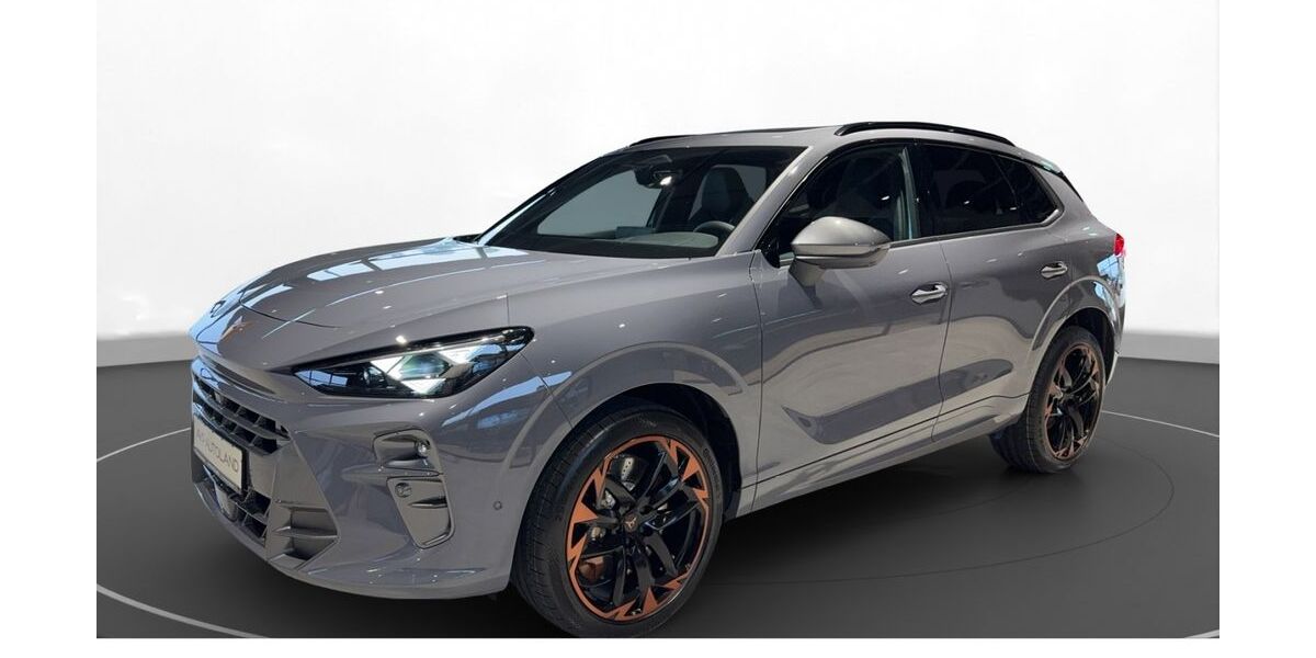 Cupra Terramar 11.890 km 42.480 &euro; Passau 94036