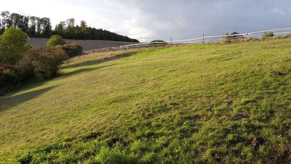 Grundstück zu verkaufen in Willebadessen 80.000 € 6979 m² zimmer