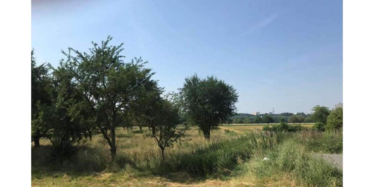 Reihenendhaus Frankfurt am Main Harheim - 5 Zimmer, 156 m&sup2;, 2.600&euro; | Angebot:24721441