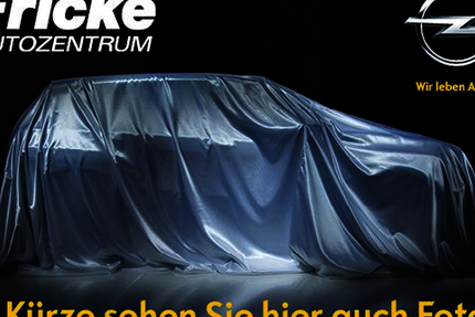 Opel Grandland (X) 35.900 km 25.980 &euro; Lippstadt 59557