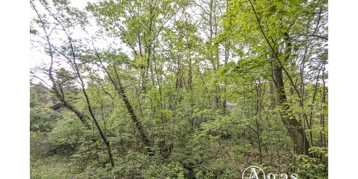Grundstück Schwielowsee / Caputh Caputh - 580.000&euro; | Angebot:26948975