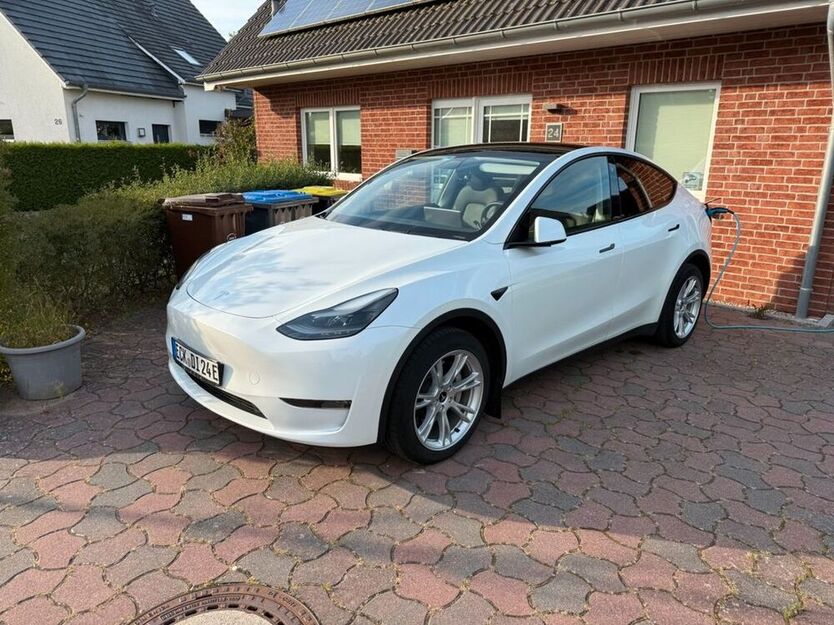 Model Y