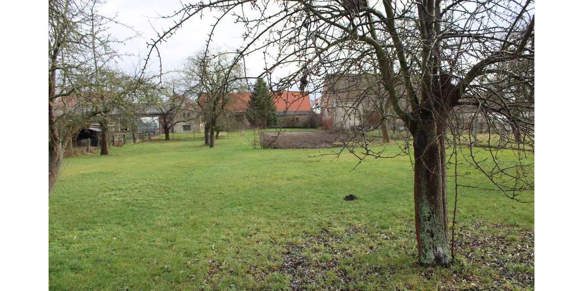 Grundstück zu verkaufen in Beilrode 67.000 € 1660 m² zimmer