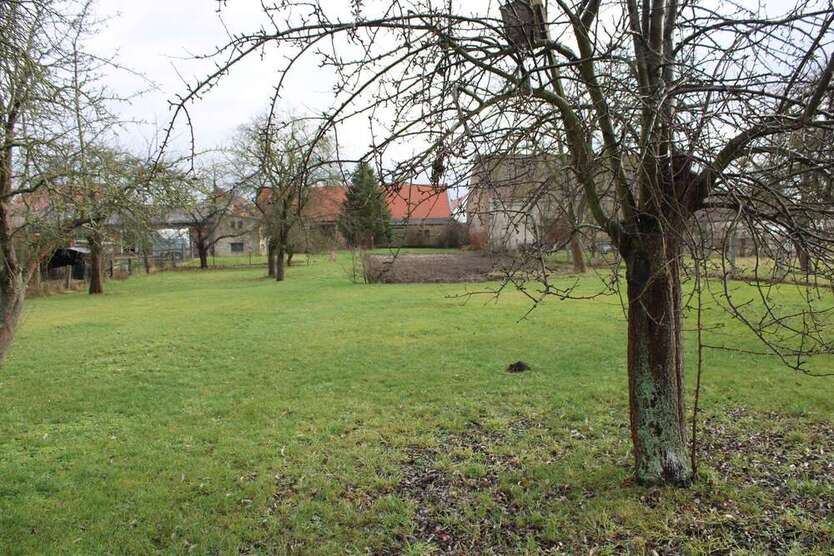 Grundstück zu verkaufen in Beilrode 67.000 € 1660 m² zimmer