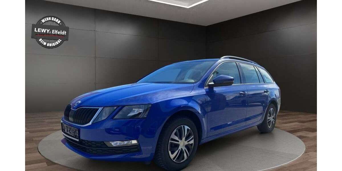 Skoda Octavia 114.255 km 14.290 &euro; Elsterwerda 04910