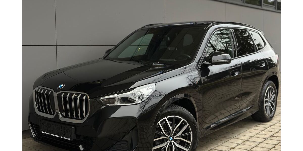 BMW X1 177.000 km 29.500 &euro; Kolbermoor 83059