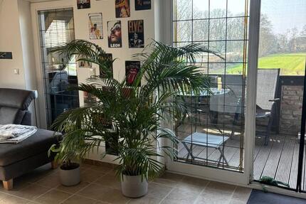 Wohnung Rheurdt - 1 Zimmer, 125 m&sup2;, 1.250&euro; | Angebot:25539392